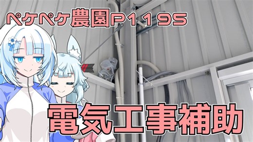 2024年11月30日　農作業日誌P1195　今日は電気屋さん補助なので・・・作業中の映像が無い・・・