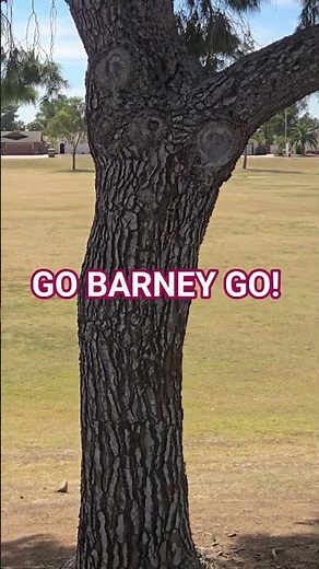 go Barney go