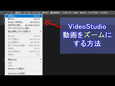 [VideoStudio] How to zoom in on a video