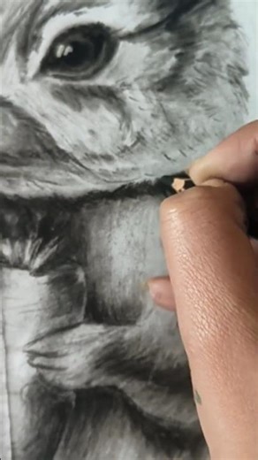 animal shading #shadingart#shadingpractice#shadingtutorial