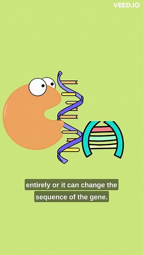 What is CRISPR?