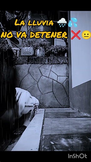 La lluvia no me va detener 🥹😣🥀🌧️