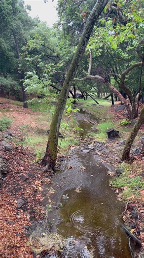 The calm after the storm! -Mrs.$ “Bring On The Rain” -Eddie Money https://youtu.be/JcBsrRwu4rQ | Eddie Money