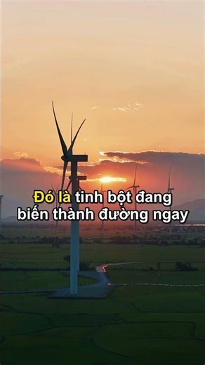 Mỗi ngày bạn nuốt khoảng một lít nước bọt