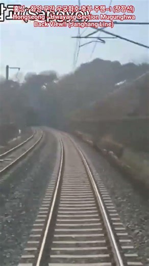 장항선 홍성 - 화양 구간 무궁화호 후부 주행 | Janghang Line Hongseong - Hwayang Section Mugunghwa Back View