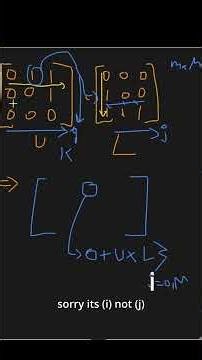LeetCode 3700 ZigZag Arrays II - Matrix Multiplication Optimization + Symmetry Explained | Part 2