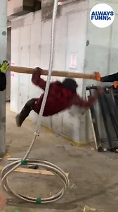 34K views · 15 reactions | Only use idiot-proof wood when building your house 藍 #alwaysfunny #fail | Always Funny | Facebook