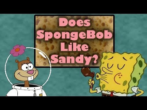 Does SpongeBob Like Sandy? [Square Theory]