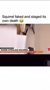 oscar-winning performance | 𝐀𝐍𝐈𝐌𝐎𝐓𝐕𝐒𝐋𝐀𝐒𝐇