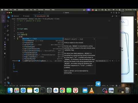 Module 1 Part 10 - Dart null type