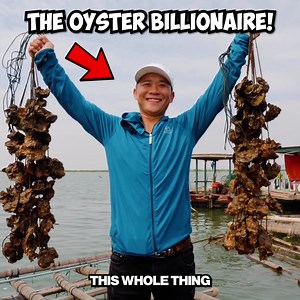 808K views · 9.7K reactions | I Went To A Giant Floating Oyster Farm! 寧 | Best Ever Food Review Show | Facebook