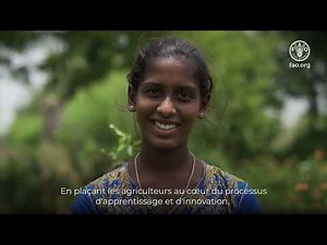 Autonomisation des communautés rurales grâce aux champs-écoles des producteurs et à l'agroécologie