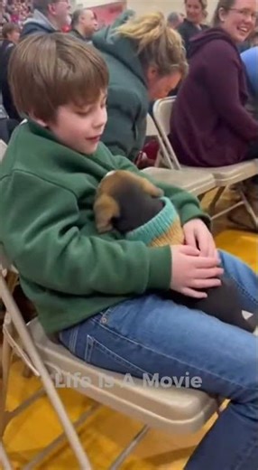 These Dogs Carefully Choose Their Humans - AIdoption Event