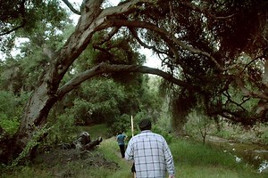 Elfin Forest | Hidden San Diego
