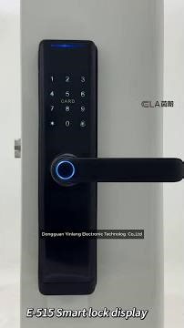 ela door locksluxury style electric safety handle digital tuya ttlock wifi fingerprint door