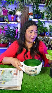 279K views · 6.8K reactions | Como recuperar macetas con un ingrediente mágico y fácil de usar | Jardín De La Chita | Facebook