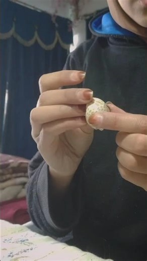 diy seashell necklace🐚🌊/homemade necklace #fyp #explorepage #trendingreels #necklace #tutorial #diy