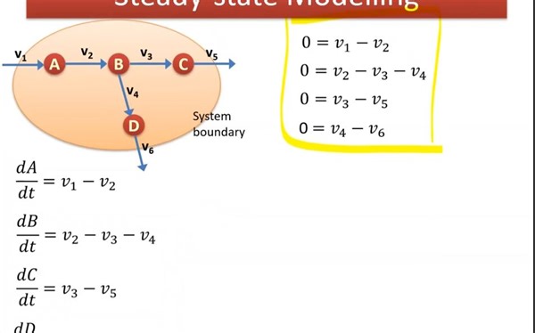 Lecture 3.1 - Matrix Representation in MFA _ Genome Scale Metabolic Models