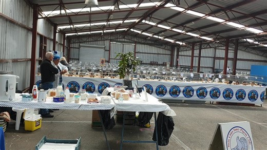 3K views · 39 reactions | Twin Cities Fancy Pigeon Club Annual Show 07/06/2025 Albury | Berwick Lofts - Aaron Koldas | Facebook