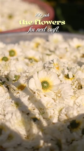 YAMI DAKHARA🪬 on Instagram: "It all starts with choosing the right flowers 🌸🤍 From fresh petals to thoughtful selection, every flower is picked with intention — because the beauty of a bouquet or table decor begins long before it’s crafted. This is where care, detail, and love quietly come together. 📍 Surat — Yami Craft Studio 📞 Let’s Create Something Beautiful Call / WhatsApp: +91 87586 63006 flower selection, fresh flowers, floral sourcing, bouquet making process, premium florals, aesthet