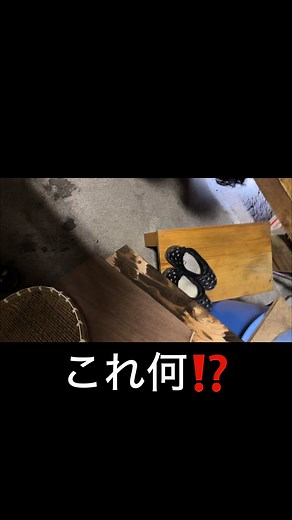 田舎の家に野生動物が入ってきた！そしてネズミ取りの餌食にねずみ取り🪤#侵入者 #ネズミ捕り #野生動物