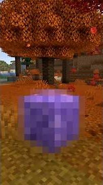 WHAT IS THE RAREST BLOCK IN MINECRAFT 26.3?