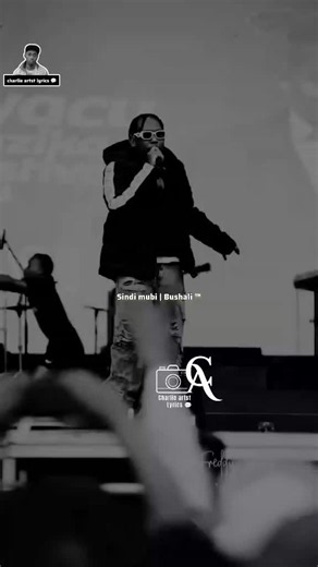 Sind Mubi - Bushali Lyrics Style