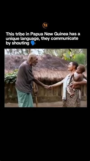 Why How Daily on Instagram: "In Papua New Guinea, some remote highland communities rely on shouted speech to communicate across long distances. With steep valleys and dense forests making travel difficult, projecting your voice becomes the most practical way to send messages from one ridge to another. These loud calls can carry warnings, announcements, or even simple conversations. From a young age, people learn to modulate and project their voices so that each message reaches exactly the intend