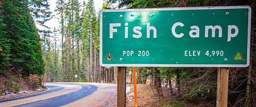 Fish Camp: Yosemite’s Southern Gateway | Explore Fish Camp, CA