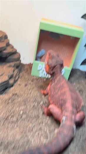 The attitude Elmo is giving 🙄 | Dragon Smart