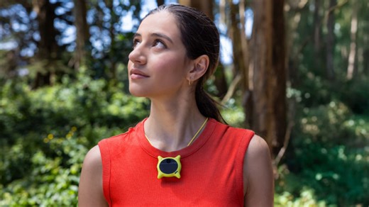 Emerging form factors