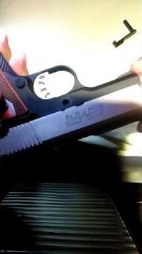 Springfield Armory EMP 4" 9mm Lightweight Champion breakdown