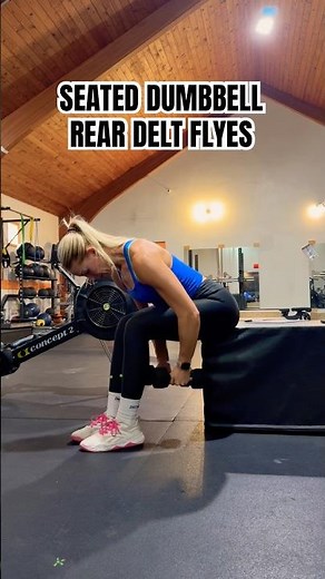 SEATED DUMBBELL REAR DELT FLYES