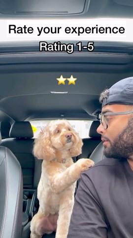 Luna The Mini Cockapoo | Cutest transformation thanks to @petsmart grooming 🥺 Be sure to book your next grooming at @petsmart using the link in my bio! #ad... | Instagram