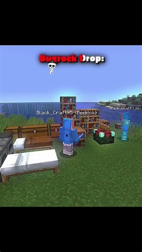 Minecraft Java Vs Bugrock 🥶 #meme