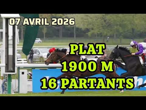 NOUS AVONS FAIT L'ANALYSE DU TIERCÉ QUARTÉ QUINTÉ DU JOUR