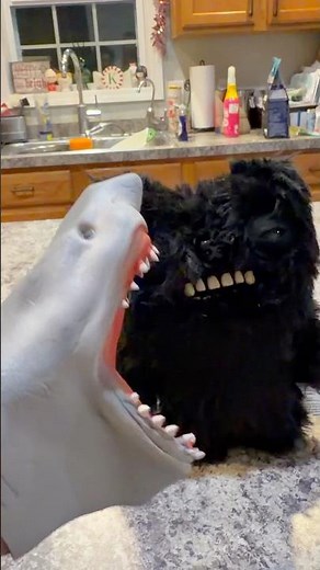 SHARK PUPPET NEW PET!