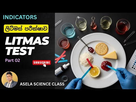 Litmus Paper in Action | Acids & Bases Explained : ලිට්මස් දර්ශකය භාවිතය Part 02