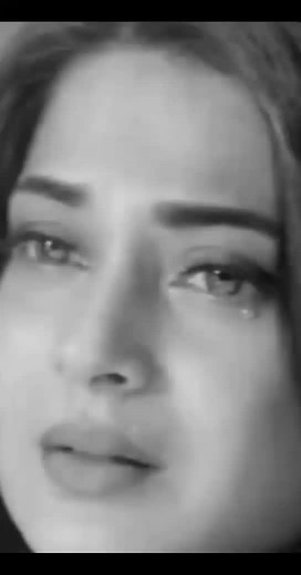 حسابات مقترحة