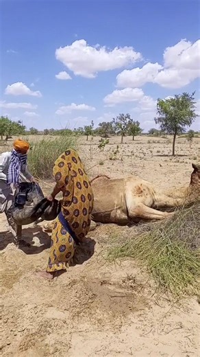ستُصاب بالدهشة والإثارة بعد مشاهدة هذا المشهد. لماذا كانت الفتاة تسكب عليه الكثير من الماء،