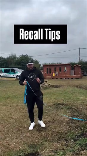Recall Tips #dogs #doglover #doglife | Southend Dog Training
