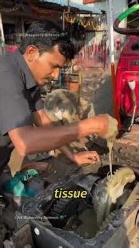 Tractor Engine RESET: Extreme Deep Cleaning & Gearbox Oil Flush! #viral #usa #shorts #viral