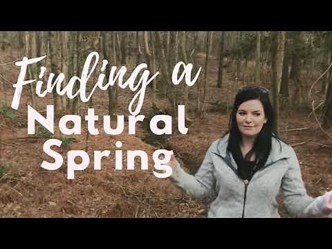 Finding a Natural Spring on our Homestead!