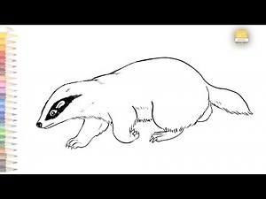 Badger outline drawing 01 / How to draw a Badger drawing step by step / #artjanag