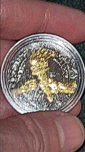 Flip A Coin 2026 Gilded Half Dollar #flipacoin #flipcoin #halfdollar