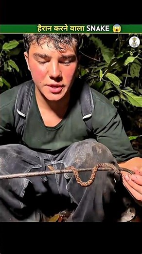 Dangerous snake ! 😱