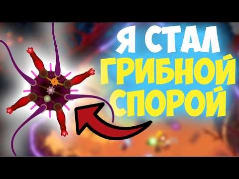 That same game where I'm supposedly a mushroom.