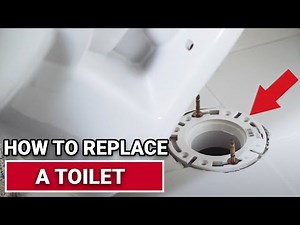 How To Replace A Toilet - Ace Hardware