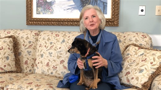 Pets in senior living: Reducing stress and improving well-being