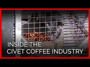 Is There Cruelty in Your Coffee?
